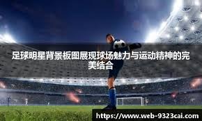 羽毛球｜夺复出首冠 陈雨菲收获信心